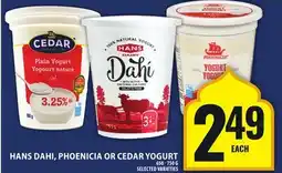 Food Basics HANS DAHI, PHOENICIA OR CEDAR YOGURT offer