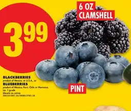 No Frills =BLACKBERRIES, 6 OZ CLAMSHELL OR BLUEBERRIES, PINT offer