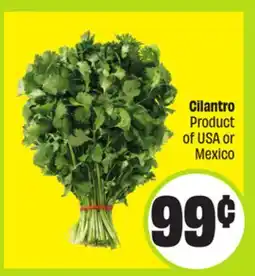 FreshCo Cilantro Product of USA or Mexico offer