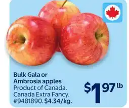 Walmart Bulk Gala or Ambrosia apples offer