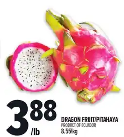 Metro DRAGON FRUIT/PITAHAYA offer