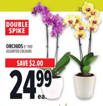 Metro ORCHIDS offer