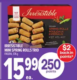 Metro IRRESISTIBLE MINI SPRING ROLLS TRIO offer