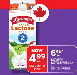 Metro LACTANTIA LACTOSE FREE MILK offer