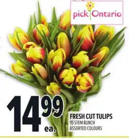 Metro FRESH CUT TULIPS offer