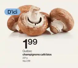 Avril Champignons café bios offer