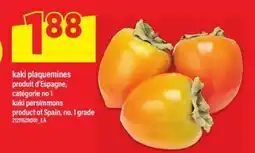 Maxi Kaki plaquemines offer