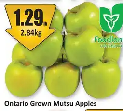 Starsky Ontario Grown Mutsu Apples offer