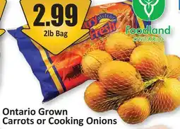 Starsky Ontario Grown Carrots or Cooking Onions offer