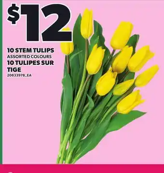 Independent City Market 10 STEM TULIPS offer
