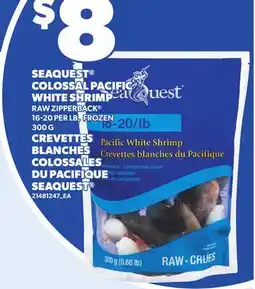 Independent City Market SEAQUEST COLOSSAL PACIFIC WHITE SHRIMP 16-20 PER LB offer