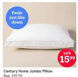 Kitchen Stuff Plus Century Home Jumbo Pillow offer