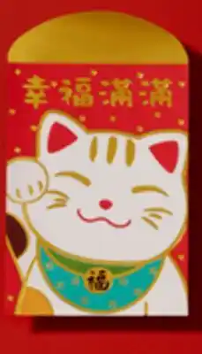 Walmart Money envelopes offer