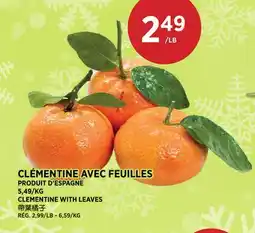Kim Phat CLEMENTINE WITH LEAVES offer