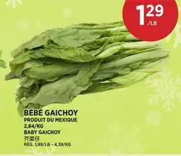 Kim Phat BABY GAICHOY offer