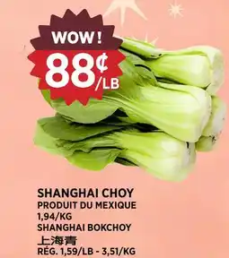 Kim Phat SHANGHAI BOKCHOY offer