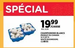 Kim Phat WHITE MUSHROOMS offer