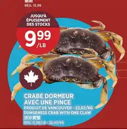 Kim Phat DUNGENESS CRAB WITH ONE CLAW offer