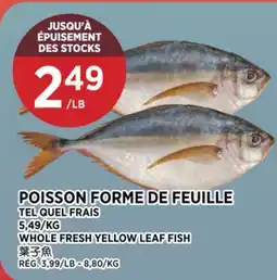 Kim Phat WHOLE FRESH YELLOW LEAF FISH offer