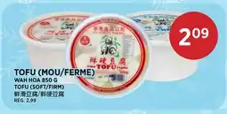 Kim Phat WAH HOA TOFU (SOFT/FIRM) offer