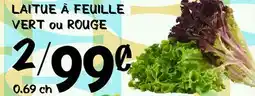 Marche Salaberry LAITUE À FEUILLE VERT ou ROUGE offer