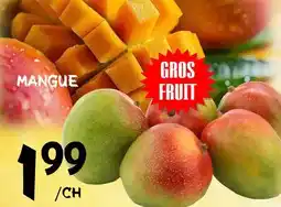 Marche Salaberry MANGUE offer