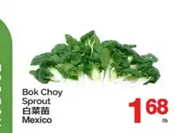 T&T Supermarket BOK CHOY SPROUT offer