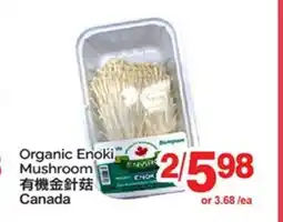 T&T Supermarket ORGANIC ENOKI MUSHROOM offer