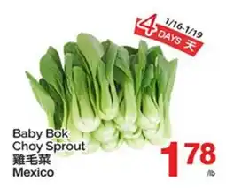 T&T Supermarket BABY BOK CHOY SPROUT offer