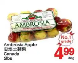 T&T Supermarket AMBROSIA APPLE, 5LBS offer