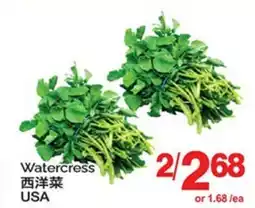 T&T Supermarket WATERCRESS offer