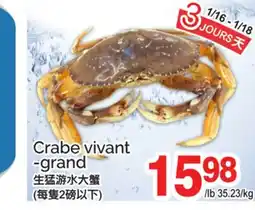 T&T Supermarket CRABE VIVANT -GRAND offer