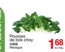 T&T Supermarket POUSSES DE BOK CHOY offer