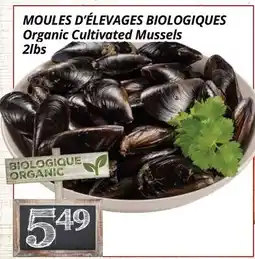 Supermarché PA MOULES D'ÉLEVAGES BIOLOGIQUES | Organic Cultivated Mussels offer
