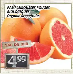 Supermarché PA PAMPLEMOUSSES ROUGES BIOLOGIQUES | Organic Grapefruits offer