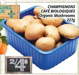 Supermarché PA CHAMPIGNONS CAFÉ BIOLOGIQUES | Organic Mushrooms offer