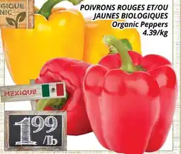 Supermarché PA POIVRONS ROUGES ET/OU JAUNES BIOLOGIQUES | Organic Peppers Organic Peppers offer