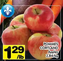 Supermarché PA POMMES CORTLAND | Apples offer