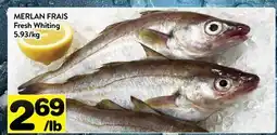 Supermarché PA MERLAN FRAIS | Fresh Whiting offer
