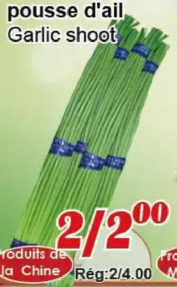 Marche C&T Garlic shoot offer