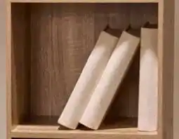 Giant Tiger 3-tier bookcase offer