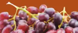 Giant Tiger 500 g red seedless grapes offer