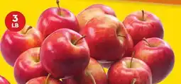 Giant Tiger 3 lb Royal Gala apples offer