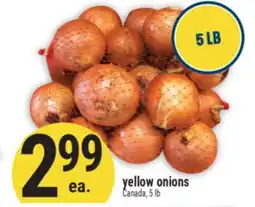 Marché Adonis Yellow onions offer