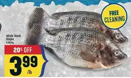 Marché Adonis Whole black tilapia offer