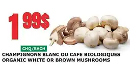 Marches Tau CHAMPIGNONS BLANC OU CAFE BIOLOGIQUES offer