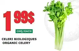 Marches Tau CELERI BIOLOGIQUES offer
