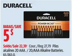 Canadian Tire 20/AAA Alkaline Batteries offer