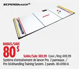 Canadian Tire Pro Stickhandling Training System offer