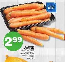 Marches Tradition NANTES CARROTS offer